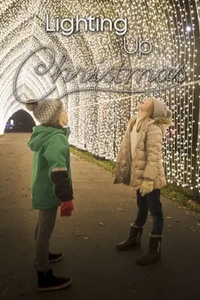Lighting Up Christmas