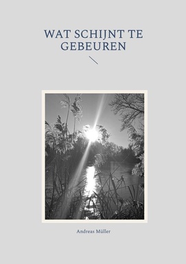 Wat schijnt te gebeuren