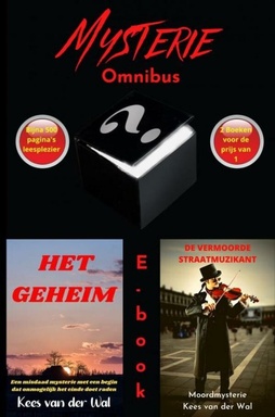 Het Geheim - De Vermoorde Straatmuzikant
