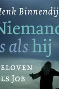 Niemand is als hij: Geloven als Job