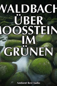 Waldbach über Moossteine im Grünen: 3 Stunden Plätscherndes Bachwasser und Frühlingsvogelstimmen im Wald
