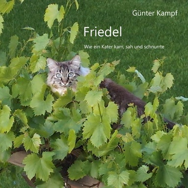 Friedel: Wie ein Kater kam, sah und schnurrte
