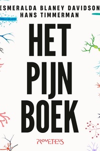 Het Pijn Boek: De wetenschap achter het gevoel dat iedereen kent maar niemand begrijpt