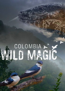 Colombia: Wild Magic