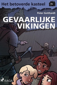 Het betoverde kasteel 7 - Het betoverde kasteel 7 – Gevaarlijke vikingen