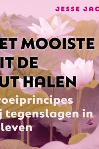 Het Mooiste Uit de Put Halen