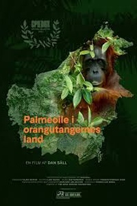 Palmeolie i Orangutangernes land