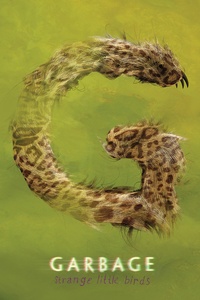 Strange Little Birds