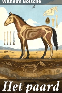 Het paard
