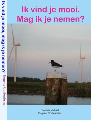 Ik vind je mooi, mag ik je nemen?