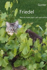 Friedel: Wie ein Kater kam, sah und schnurrte