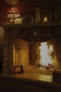 Kerst op Zweinstein: haardvuur