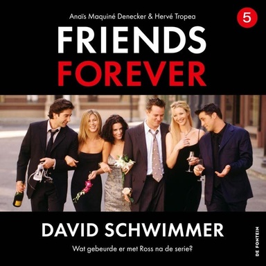 David Schwimmer: Wat gebeurde er met Ross na de serie?