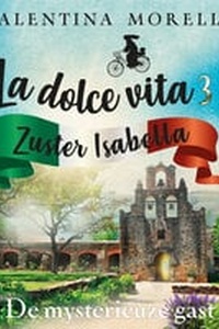 De mysterieuze gast (audiobook)