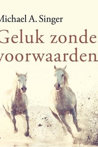 Geluk zonder voorwaarden