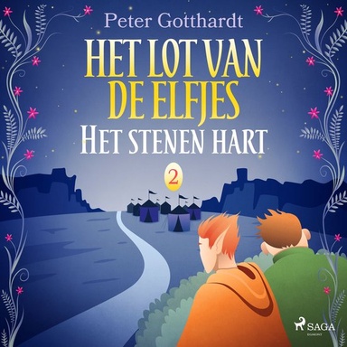 Het lot van de elfjes 2 - Het stenen hart
