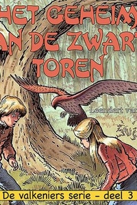 Het geheim van de zwarte toren