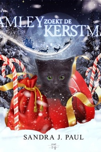 Hamley zoekt de kerstman