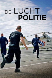 De Luchtpolitie