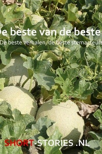 De beste van de beste 3: De beste verhalen, de beste stemacteurs
