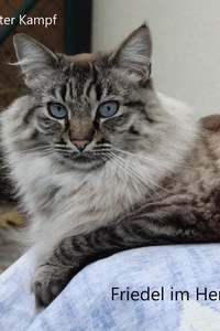 Friedel im Herbst