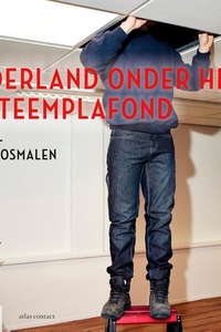 Nederland onder het systeemplafond