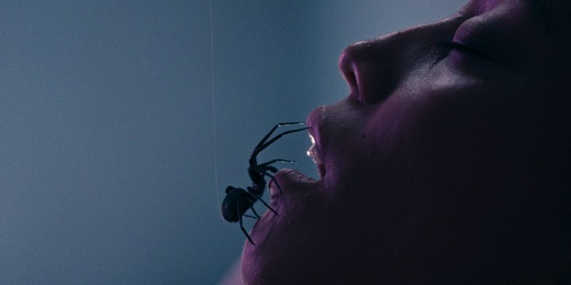 Crawlers Review