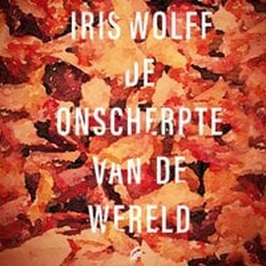 De onscherpte van de wereld