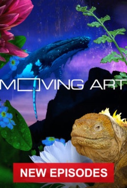 Moving Art