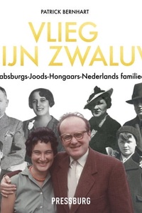 Vlieg, mijn zwaluw