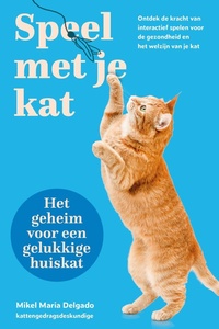 Speel met je kat: het geheim voor een gelukkige huiskat