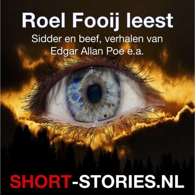Roel Fooij leest