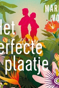 Het perfecte plaatje
