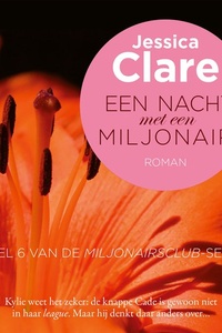 Een nacht met een miljonair