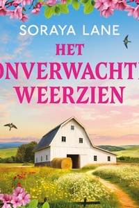 Het onverwachte weerzien