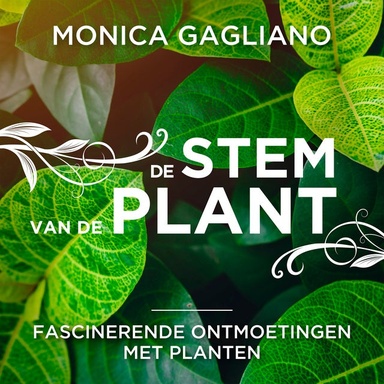 De stem van de plant: Fascinerende ontmoetingen met planten
