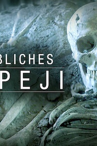 Das Geheimnis von Phaistos