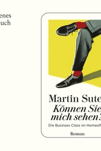 Können Sie mich sehen? - Business Class - Die Business Class im Homeoffice (Ungekürzt)