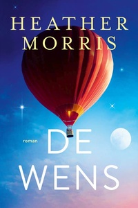 De wens: Eén laatste ontmoeting brengt twee levens samen