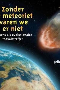 Zonder de meteoriet waren we er niet