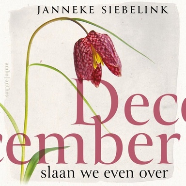 December slaan we even over: Verhalen over het leven uit het hospice