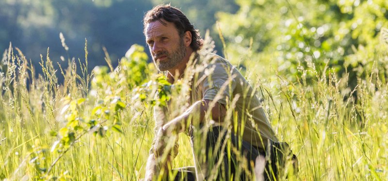 The Walking Dead Seizoen 1 t/m 8 nu op Netflix