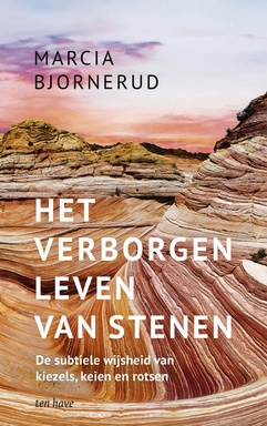 Het verborgen leven van stenen