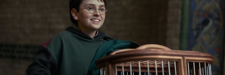 HBO bevestigt nu al seizoen 2 van nieuwe Harry Potter-serie