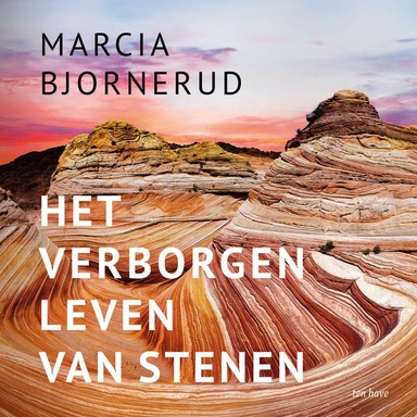 Het verborgen leven van stenen: Een geologische biografie van de aarde