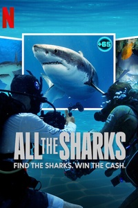 All the Sharks