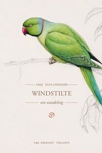 Windstilte