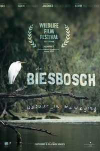 De Biesbosch: Natuur in beweging