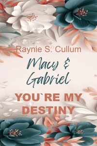 Macy & Gabriela: You're my destiny - YOU'RE MY DESTINY, Band 2 (ungekürzt)